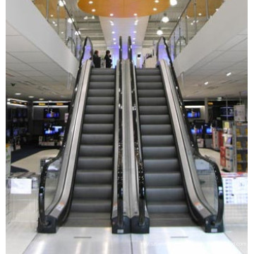 Sicher Gre20 Nice Quality Escalator